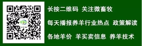 打算養(yǎng)羊或者闊欄//.